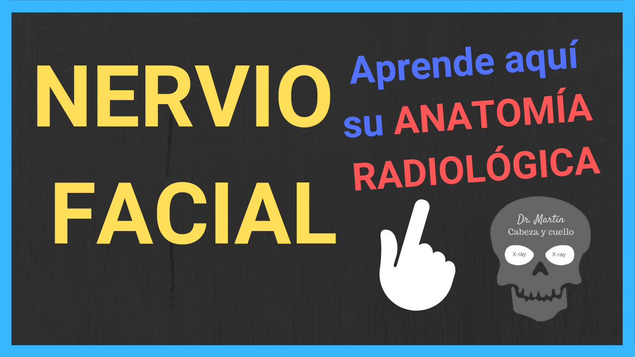 Nervio facial anatomia radiologica